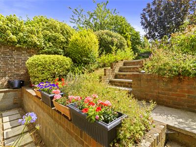 Picture 8